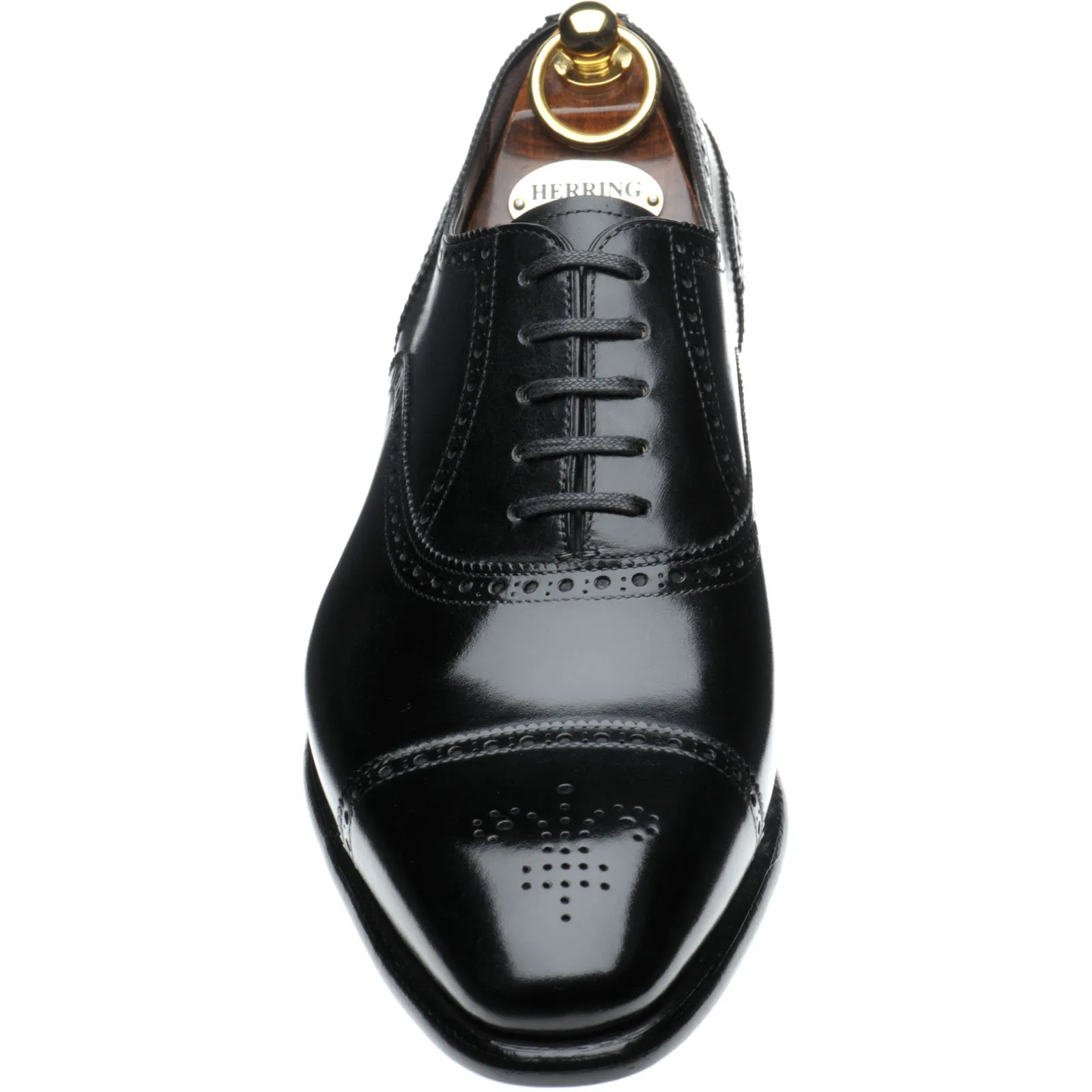 Sloane semi-brogues